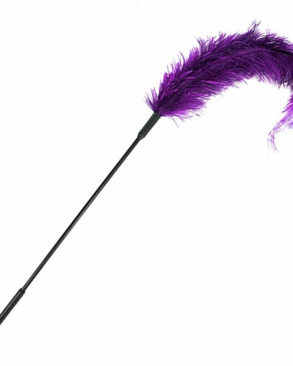 Plunksna kutenimui Purple