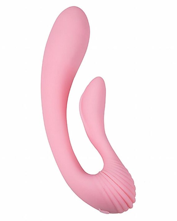 Lankstus vibratorius Adrien Lastic