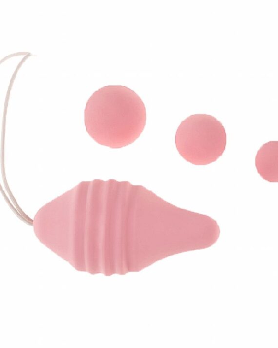 Dubens raumenų treniruotei Pelvix Concept