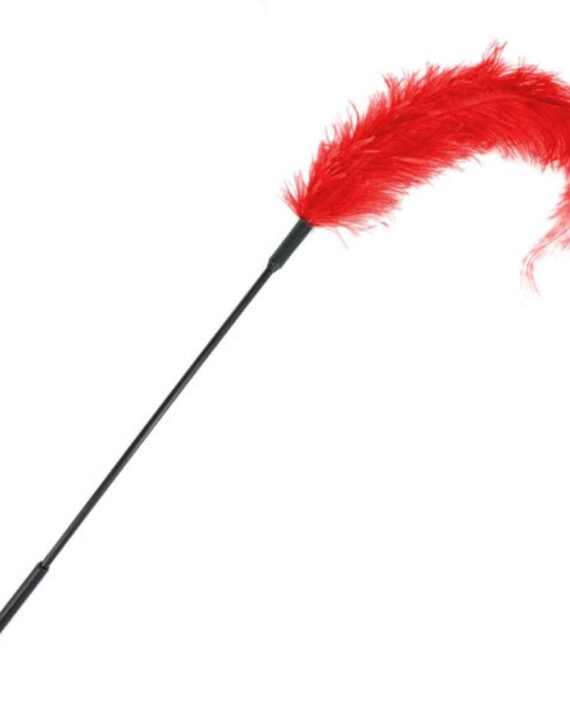 Plunksna kutenimui Red